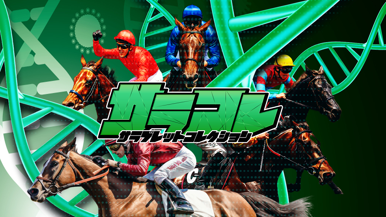 競馬予想サイトサラコレの情報