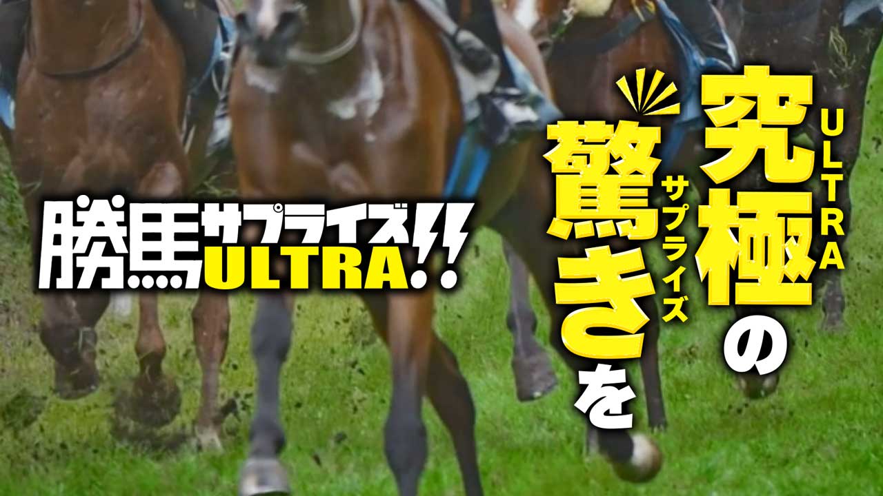 勝馬サプライズウルトラの口コミ・評判！当たらない悪質競馬予想サイトか確認！